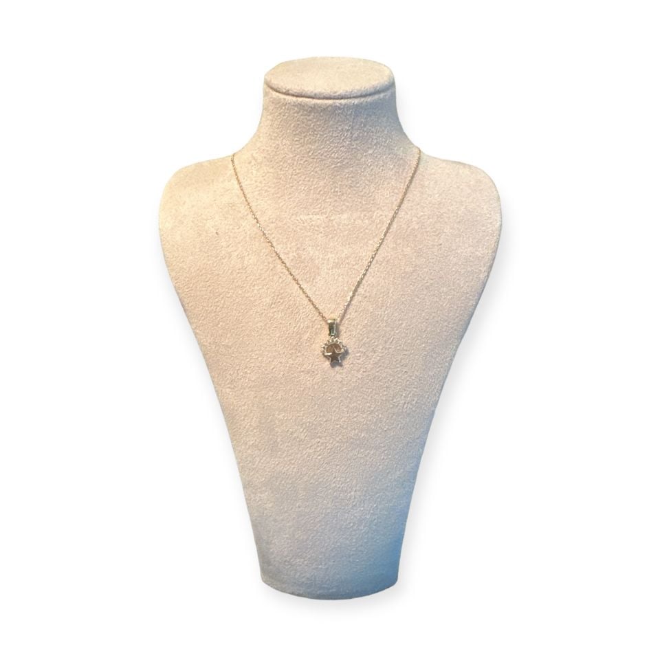 Ay Yıldızlı İnce Kolye